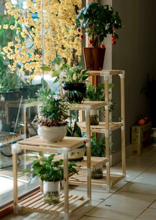 Tips for Creating a Sustainable and Eco-Friendly Home Environment