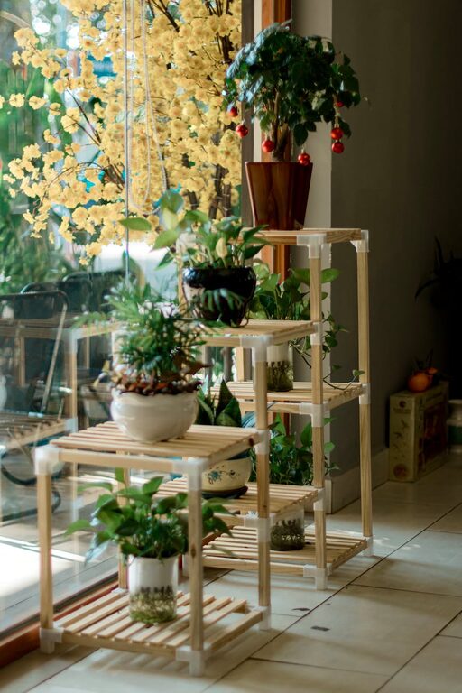 Tips for Creating a Sustainable and Eco-Friendly Home Environment